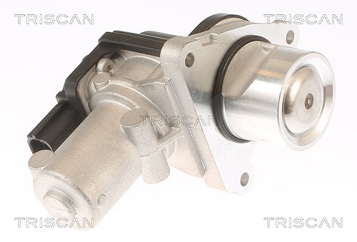 Triscan AGR-Ventil [Hersteller-Nr. 881343010] für Hyundai, Kia