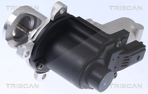 Triscan AGR-Ventil [Hersteller-Nr. 881329015] für Audi, VW