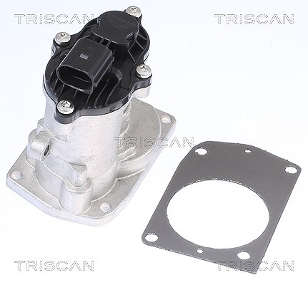 Triscan AGR-Ventil [Hersteller-Nr. 881316201] für Ford