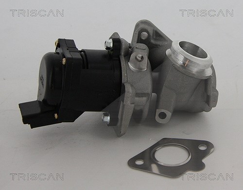 Triscan AGR-Ventil [Hersteller-Nr. 881310010] für Citroën, Suzuki, Fiat, Peugeot