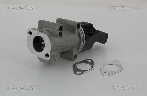 Triscan AGR-Ventil [Hersteller-Nr. 881310005] für Lancia, Fiat, Alfa Romeo