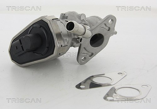 Triscan AGR-Ventil [Hersteller-Nr. 881316100] für Ford
