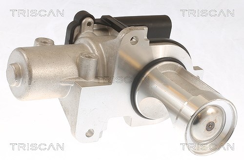 Triscan AGR-Ventil [Hersteller-Nr. 881329101] für VW, Skoda, Audi
