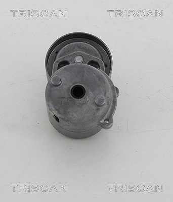 Triscan Spannarm, Keilrippenriemen [Hersteller-Nr. 8641803005] für Chrysler, Jeep, Dodge