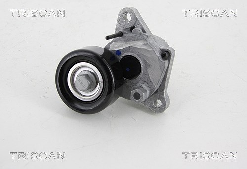 Triscan Spannrolle, Keilrippenriemen [Hersteller-Nr. 8641433007] für Kia, Hyundai