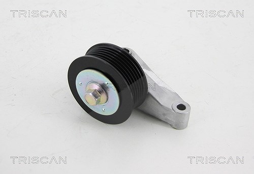Triscan Umlenk-/Führungsrolle, Keilrippenriemen [Hersteller-Nr. 8641502008] für Mazda