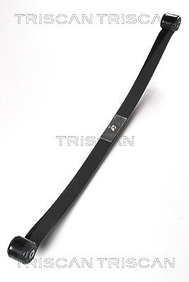 Triscan Federnpaket [Hersteller-Nr. 876516029] für Ford