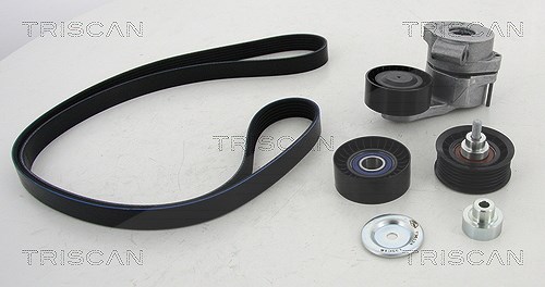 Triscan Keilrippenriemensatz [Hersteller-Nr. 864216008] für Citroën, Fiat, Ford, Peugeot