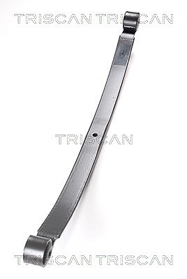 Triscan Federnpaket [Hersteller-Nr. 876516027] für Ford