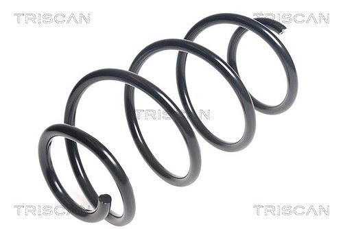 Triscan Fahrwerksfeder [Hersteller-Nr. 875043107] für Hyundai