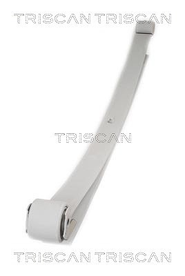 Triscan Federnpaket [Hersteller-Nr. 876528005] für Citroën, Fiat, Peugeot