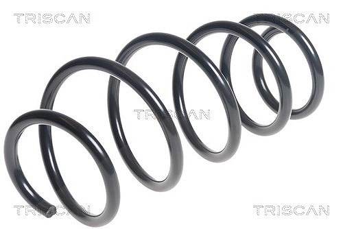 Triscan Fahrwerksfeder [Hersteller-Nr. 875028244] für Ds, Citroën