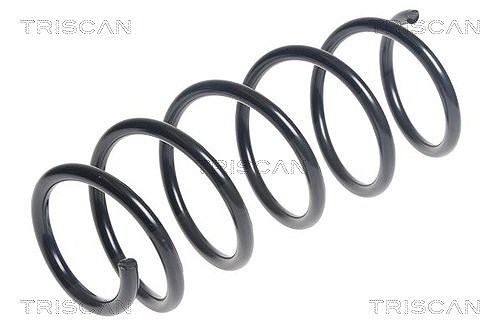 Triscan Fahrwerksfeder [Hersteller-Nr. 875015206] für Fiat