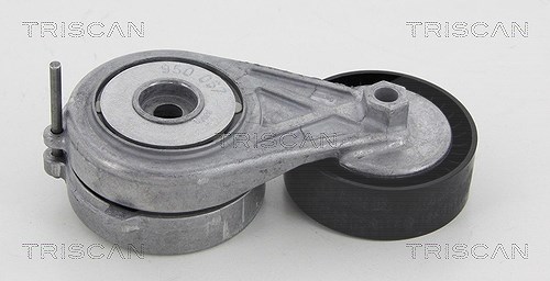Triscan Spannrolle, Keilrippenriemen [Hersteller-Nr. 8641293047] für VW, Seat, Audi
