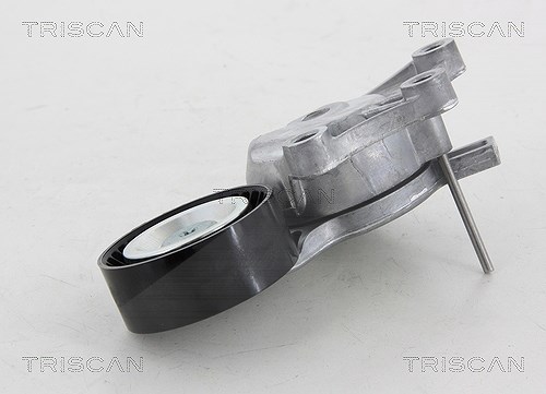Triscan Spannrolle, Keilrippenriemen [Hersteller-Nr. 8641281027] für Peugeot, Citroën, Ds