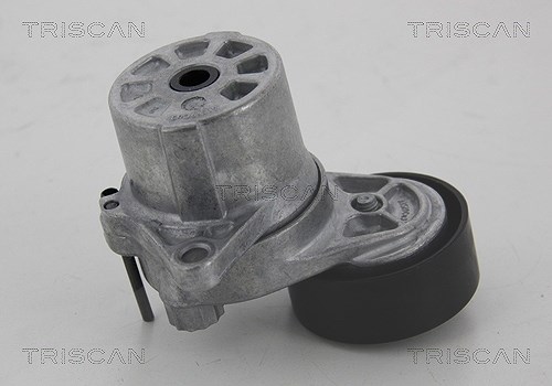 Triscan Spannrolle, Keilrippenriemen [Hersteller-Nr. 8641233023] für Mercedes-Benz