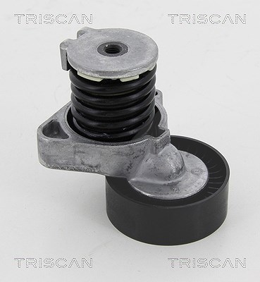 Triscan Spannarm, Keilrippenriemen [Hersteller-Nr. 8641233024] für Mercedes-Benz