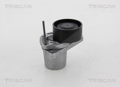 Triscan Spannrolle, Keilrippenriemen [Hersteller-Nr. 8641251018] für Renault, Opel, Vauxhall, Mercedes-Benz, Fiat, Nissan