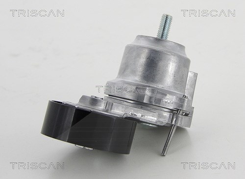 Triscan Spannrolle, Keilrippenriemen [Hersteller-Nr. 8641243014] für Opel, Vauxhall, Chevrolet