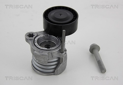 Triscan Spannrolle, Keilrippenriemen [Hersteller-Nr. 8641241004] für Chevrolet, Opel, Vauxhall, Daewoo