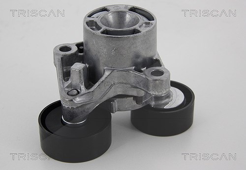 Triscan Spannrolle, Keilrippenriemen [Hersteller-Nr. 8641231027] für Alpina, BMW