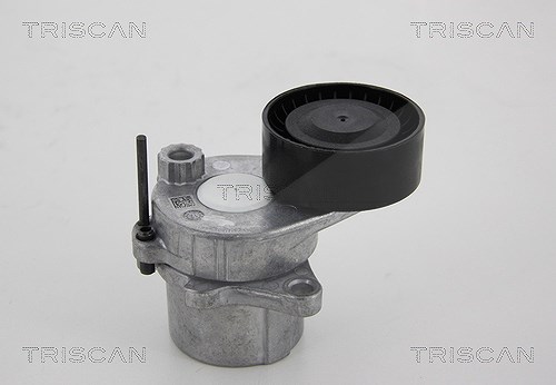 Triscan Spannrolle, Keilrippenriemen [Hersteller-Nr. 8641231025] für Mercedes-Benz