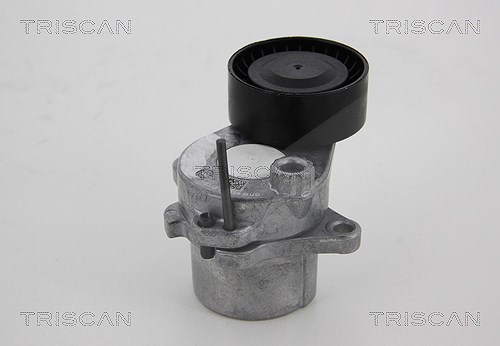 Triscan Spannrolle, Keilrippenriemen [Hersteller-Nr. 8641231024] für Mercedes-Benz