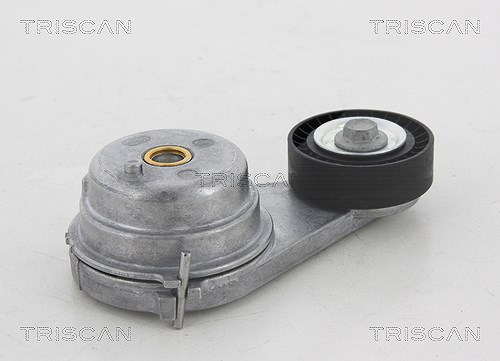 Triscan Spannrolle, Keilrippenriemen [Hersteller-Nr. 8641231023] für Smart