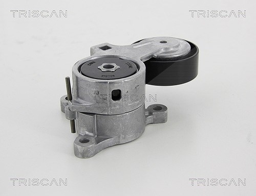Triscan Spannarm, Keilrippenriemen [Hersteller-Nr. 8641283008] für Peugeot, Citroën