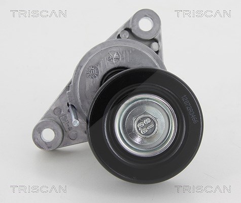 Triscan Spannrolle, Keilrippenriemen [Hersteller-Nr. 8641211002] für Daewoo, Chevrolet