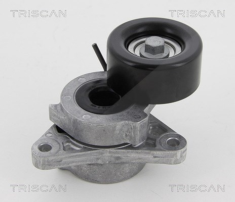 Triscan Spannrolle, Keilrippenriemen [Hersteller-Nr. 8641143003] für Nissan, Infiniti