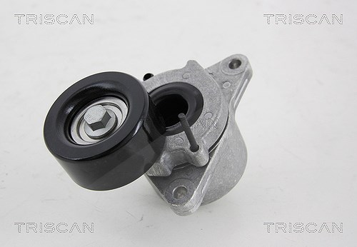 Triscan Spannrolle, Keilrippenriemen [Hersteller-Nr. 8641143002] für Nissan