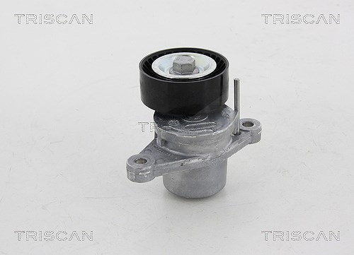 Triscan Spannrolle, Keilrippenriemen [Hersteller-Nr. 8641281028] für Citroën, Peugeot, Ds