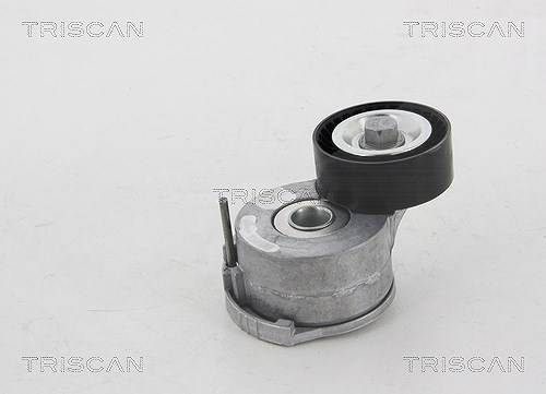 Triscan Spannrolle, Keilrippenriemen [Hersteller-Nr. 8641281026] für Ds, Citroën, Peugeot, Fiat, Opel, Toyota, Vauxhall