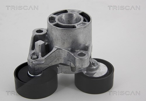 Triscan Spannrolle, Keilrippenriemen [Hersteller-Nr. 8641231026] für Alpina, BMW