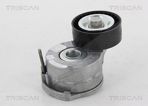 Triscan Spannrolle, Keilrippenriemen [Hersteller-Nr. 8641161014] für Ford