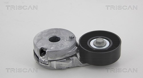 Triscan Spannrolle, Keilrippenriemen [Hersteller-Nr. 8641141004] für Renault, Nissan