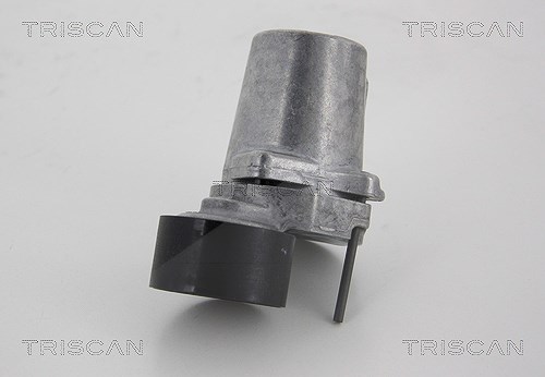 Triscan Spannrolle, Keilrippenriemen [Hersteller-Nr. 8641111022] für BMW