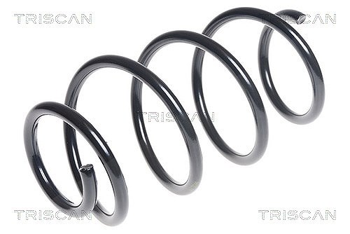 Triscan Fahrwerksfeder [Hersteller-Nr. 87504389] für Hyundai