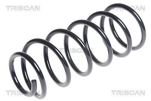 Triscan Fahrwerksfeder [Hersteller-Nr. 87504374] für Hyundai