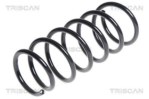 Triscan Fahrwerksfeder [Hersteller-Nr. 87504373] für Hyundai