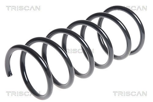 Triscan Fahrwerksfeder [Hersteller-Nr. 875016091] für Ford