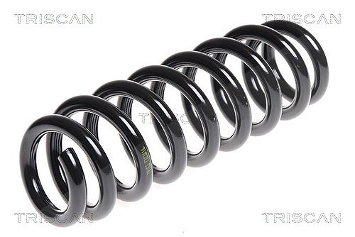 Triscan Fahrwerksfeder [Hersteller-Nr. 875011117] für BMW
