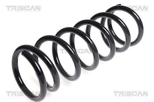 Triscan Fahrwerksfeder [Hersteller-Nr. 875014103] für Nissan