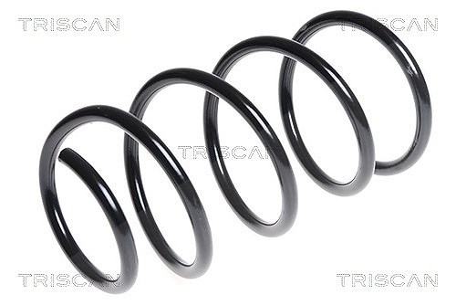 Triscan Fahrwerksfeder [Hersteller-Nr. 875011129] für BMW