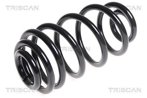 Triscan Fahrwerksfeder [Hersteller-Nr. 875024163] für Vauxhall, Opel