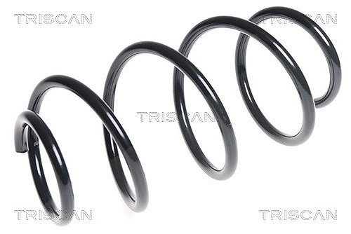 Triscan Fahrwerksfeder [Hersteller-Nr. 87504383] für Hyundai