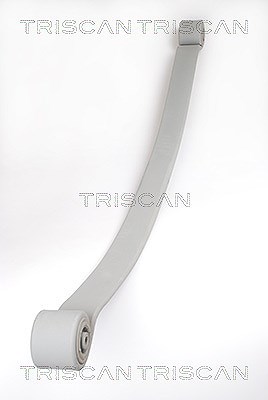Triscan Federnpaket (Blattfeder) Hinterachse [Hersteller-Nr. 876523019] für Mercedes-Benz, VW