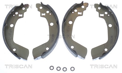 Triscan Bremsbackensatz [Hersteller-Nr. 810069008] für Suzuki