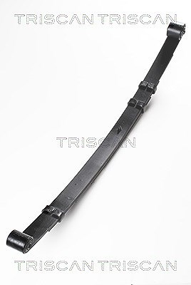 Triscan Fahrwerksfeder [Hersteller-Nr. 876580006] für Jeep
